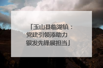 玉山县临湖镇：党建引领添助力 银发先锋展担当